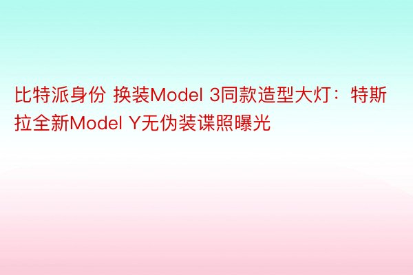 比特派身份 换装Model 3同款造型大灯：特斯拉全新Model Y无伪装谍照曝光