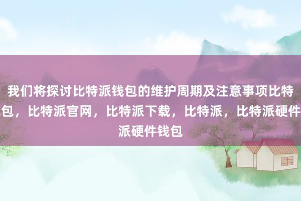 我们将探讨比特派钱包的维护周期及注意事项比特派钱包，比特派官网，比特派下载，比特派，比特派硬件钱包