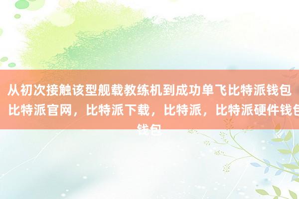 从初次接触该型舰载教练机到成功单飞比特派钱包，比特派官网，比特派下载，比特派，比特派硬件钱包