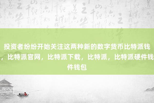 投资者纷纷开始关注这两种新的数字货币比特派钱包，比特派官网，比特派下载，比特派，比特派硬件钱包