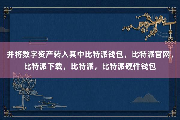 并将数字资产转入其中比特派钱包，比特派官网，比特派下载，比特派，比特派硬件钱包