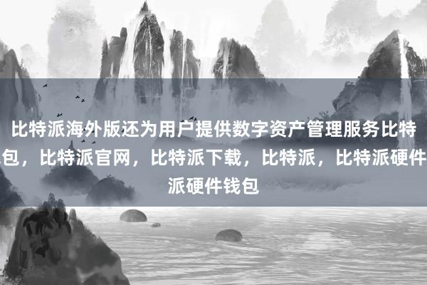 比特派海外版还为用户提供数字资产管理服务比特派钱包，比特派官网，比特派下载，比特派，比特派硬件钱包