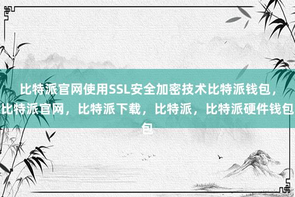 比特派官网使用SSL安全加密技术比特派钱包，比特派官网，比特派下载，比特派，比特派硬件钱包