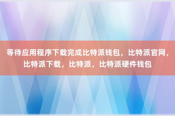 等待应用程序下载完成比特派钱包，比特派官网，比特派下载，比特派，比特派硬件钱包