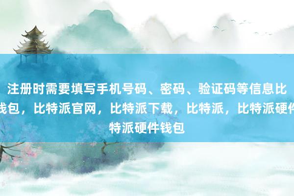 注册时需要填写手机号码、密码、验证码等信息比特派钱包，比特派官网，比特派下载，比特派，比特派硬件钱包