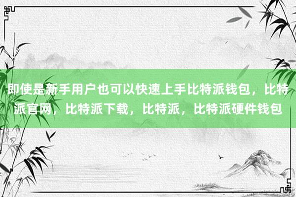 即使是新手用户也可以快速上手比特派钱包，比特派官网，比特派下载，比特派，比特派硬件钱包