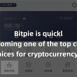 Bitpie is quickly becoming one of the top choices for cryptocurrency enthusiasts worldwide.比特派钱包，比特派官网，比特派下载，比特派，比特派硬件钱包