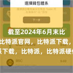 截至2024年6月末比特派钱包，比特派官网，比特派下载，比特派，比特派硬件钱包