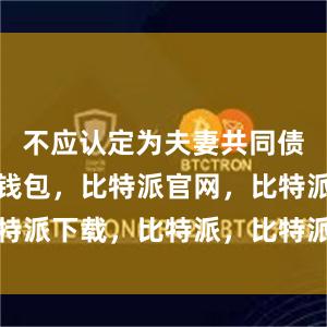 不应认定为夫妻共同债务比特派钱包，比特派官网，比特派下载，比特派，比特派硬件钱包