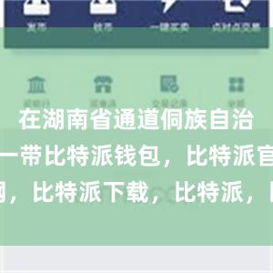 在湖南省通道侗族自治县陇城镇一带比特派钱包，比特派官网，比特派下载，比特派，比特派硬件钱包