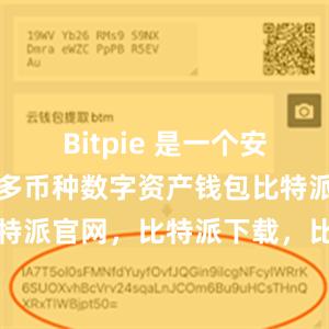 Bitpie 是一个安全、易用的多币种数字资产钱包比特派钱包，比特派官网，比特派下载，比特派，比特派硬件钱包